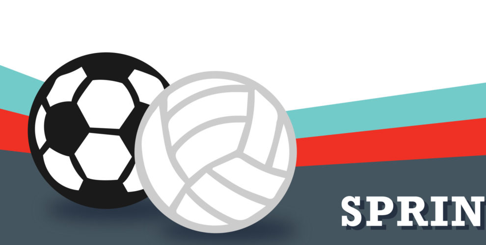 image of spring sports with volleyball and soccer ball